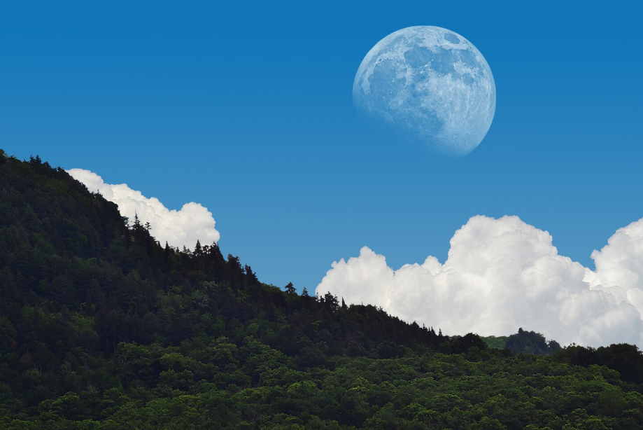 Daytime Moon high above white clouds and a forested mountain